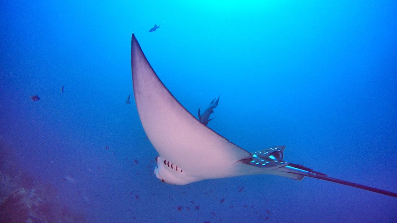 Athiri Beach Maldives Дигура Экстерьер фото