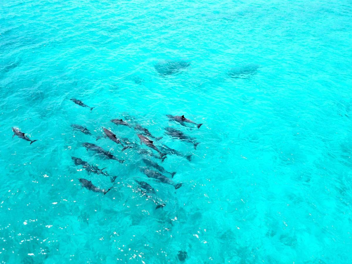 Athiri Beach Maldives Дигура Экстерьер фото