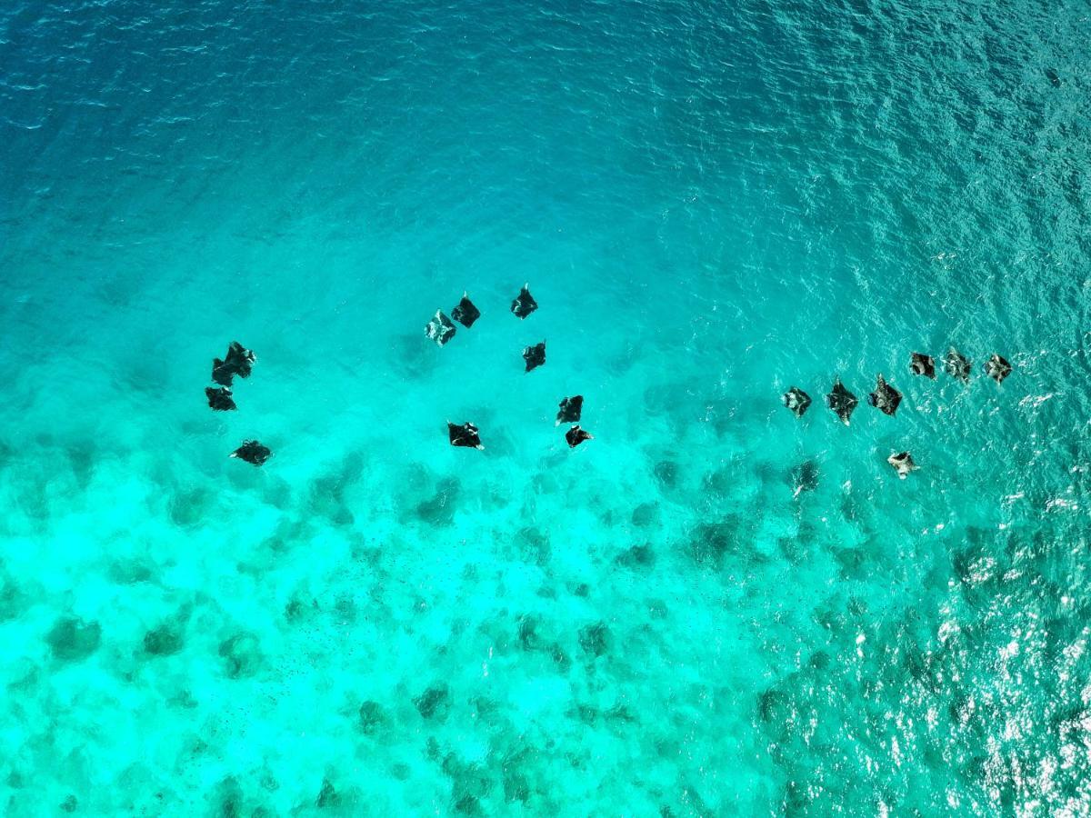 Athiri Beach Maldives Дигура Экстерьер фото